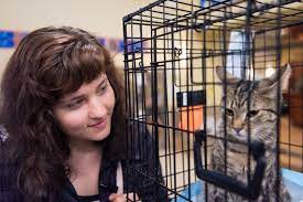 Which data is in form of. Can Cats Detect Cancer A Woman From Oregon Says Her Cat S Strange Behavior Saved Her Life