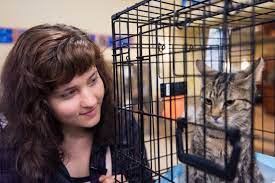 There is a strange coincidence between my cat's obsessive grooming and my cancer symptoms. Can Cats Detect Cancer A Woman From Oregon Says Her Cat S Strange Behavior Saved Her Life