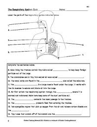 Some of the worksheets displayed are human anatomy, respiratory system work, anatomy review respiratory structures, respiratory system coloring workbook anatomy answer key, human. Respiration The Respiratory System Facts Color Worksheet Quiz