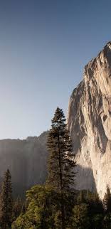 Samsung Galaxy S8 Wallpapers Hd It's about time that all the goodies packed inside these smartphones start floating around the internet.