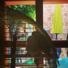 Rossista Da Pazar Keyfi Kuslar Birds Birdlife Animal Minikdost Happysunday Rossista Rossistacafe Kaleici Kaleici Hanging Chair Park Slide Hanging