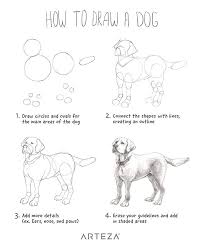 Another free animals for beginners step by step drawing video tutorial. Pencil Drawing Made Easy The Basics Of Pencil Drawing How To Draw Using Pencils Drawing For Beginners Dog Drawing Simple Dog Drawing Tutorial Easy Drawings