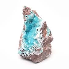 Image result for Chrysochloa