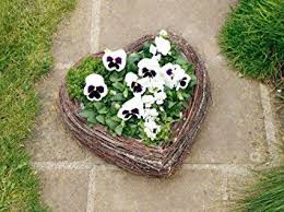 Grosses Pflanz Herz Quot Reisig Quot 40x40 Cm Neu Pflanzschale Pflanzgefass Pflanztopf Pflanzen Pflanzschale Pflanzgefasse