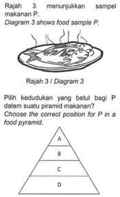 Piramid makanan malaysia makanan berkhasiat dan seimbang. Soalan Pt3 Sains 2 Pt3 Online