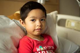 R Giving Tree Foundation