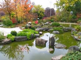 Alles was sie und ihr garten brauchen wir planen, gestalten und pflegen ihren garten, legen einen sichtschutz an oder. Themen Umwelt Und Klima Stadtnatur Und Biologische Vielfalt Stadtbaume Und Urbanes Grun Urbanes Grun Gelande Der Landesgartenschau 1990
