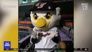 쌍방울 출신인 김기태 감독이 kia에 부임한 이후 챔피언스 필드에 가끔씩 김기태 마킹을 한 쌍방울 유니폼을 입은 아재들이 보인다. Bexaqfwqfu0lcm