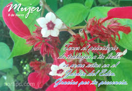 El día de la mujer fue declarado en 1975 por la organización de las naciones unidas. Postales Para El 8 De Marzo Dia Internacional De La Mujer