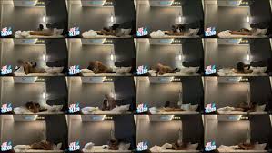 The Lego Movie porn comics Rule 34 intriguing material