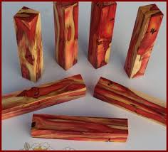 Pin On Wood Identification