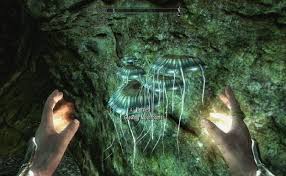 My game keeps ctding in bleak falls barrow after loading a save file in which i killed a certain amount of enemies. Bleak Falls Barrow The Elder Scrolls V Skyrim Wiki Guide Ign