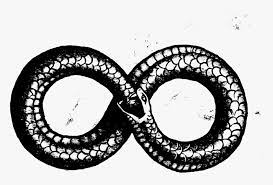 More images for snake infinity symbol tattoo » Infinity Snake Tattoo Hd Png Download Kindpng