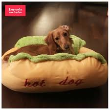 Les Aliments A Ne Surtout Pas Donner A Son Chien Emprunte Mon Toutou
