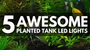 Using this light in your aquarium, your plants will grow better starting right away, today. 5 Best Led Light Fixtures For Your Planted Tank 2020 Updated Guide