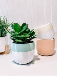 I've received many questions from my readers small terra cotta pots can dry out much too quickly for many types of plants and be a pain to keep (this is why i'm a huge proponent of keeping plants in plants nursery pots and using decorative. Pin On Etsy Planters