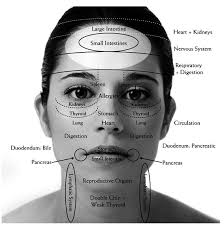 Face Mapping For Acne The Ultimate Guide