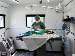 Pet owners can have their fur babies spayed or neutered via this vet clinic on wheels. Spca Mobile Animal Wellness Services Q A Ontario Spca And Humane Society