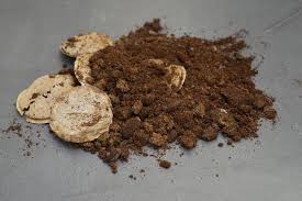 Check spelling or type a new query. Using Coffee Grounds In The Garden Fresh And Used For Fertilizer Or Pests