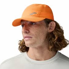 Image result for Brown 2021 Fleet