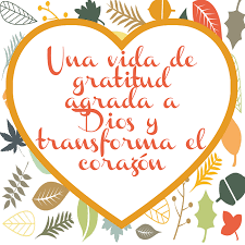 Frases Bonitas De Agradecimiento Y Gratitud Imagenes Para Dar Las Gracias Words Thankful Gratitude
