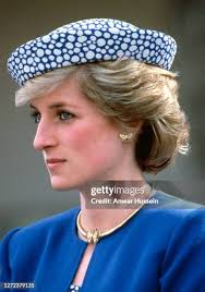 808 Princess Diana Blue Suit Stock Photos, High-Res Pictures, and Images
