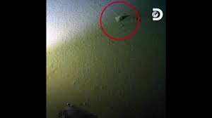 Si le moi profond était un lieu, ce pourrait être un puits, image de profondeur obscure où il faut descendre pour trouver l'eau vive. Du Plastique Retrouve Jusqu Au Plus Profond De L Ocean Youtube