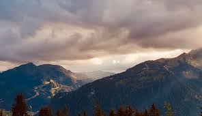 Clinique Vétérinaire d'Abondance