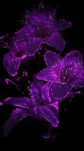 Each of our wallpapers can be downloaded to fit almost any device, no matter if you're running an android phone, iphone, tablet or pc. Fiber Optic Lilies Wallpaper Phone Planet12sun Com Printables