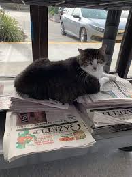 Floofer is a 10% imperial milk stout with bananas, cocoa nibs and. Fat Fred Gets His Own Sign At Animal Hospital After Grabbing The Attention Of All Who Pass By Cole Marmalade