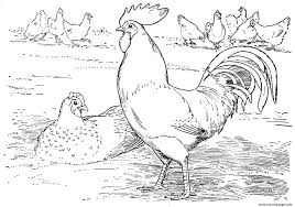 Rooster coloring page with rooster farm animal coloring pages for. Print Farm Animal S For Preschool9cc8 Coloring Pages Farm Animal Coloring Pages Animal Coloring Pages Horse Coloring Pages