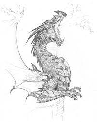 Realistic Dragon Fighting Pictures Google Search Realistic Dragon Tattoo Dragon Sketch Realistic Dragon Dragon Drawing