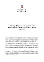 RANK signaling in mammary spontaneous tumorigenesis and tumor-stromal  crosstalk