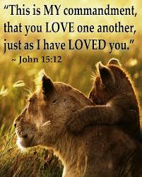 Image result for Jesus and your walk of love