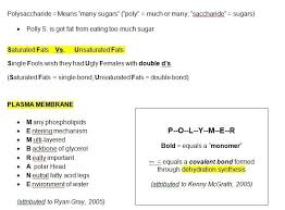 Mnemonic Devices Biol 1406 03 Plasma Membrane Mnemonic Devices College Classes