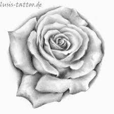 Bildergebnis Fur Tattoovorlage Rose Tattoo Vorlagen Rose Tattoo Vorlage Tattoo Ideen