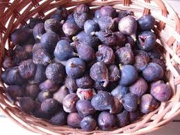 Cueillette De Figues Fruit Blueberry Food