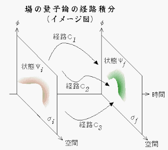 作用の変化率が小さい経路のみ強め合う（AI 生成）