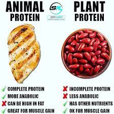 Animal Vs Plant Protein By Smurray 32 Animal Proteins Its Well Know That Animal Proteins Provide Th High Protein Vegetables Plant Protein Sources Nutrition