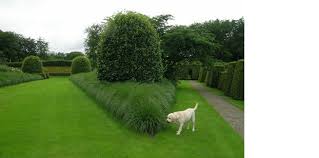 Pin Op Garden Shape And Form