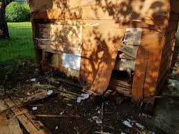 122 l x 31 w x 34 h. Kaninchenstall Kaufen