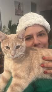 Missing Kitty‼️ Has anyone by chance seen this young male tabby cat? He's  been missing since Tuesday 11/19, HWY 81 @ Chisholm Creek Apartments. If  you happen to see or have