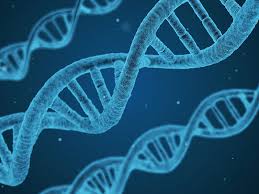 Outstanding television movie emmy nominee. The Story Of Henrietta Lacks Sheds Light On Ethical Considerations In Genetic Testing Ons Voice