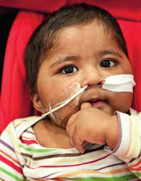 Impact Report 2012/13