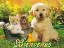 Résultat de recherche d'images pour "bienvenue"
