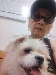 I am praying for Rosemary Rodriguez's family. Jesus.I am praying to you  Jesus Christ that you will be with and comfort Rosemary's family as they  get through this. I am praying that