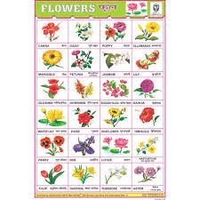 Hundreds of grapes, bushes and onions add beauty and color to the gardens. Educational Posters Or Wall Charts For Schools Or Home Use An Extensive Selection Of Educational Posters Or Wall In 2021 Flower Chart Preschool Charts Charts For Kids