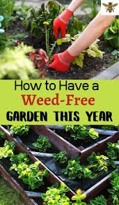 Pin On Gardening Hacks