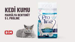 bim kedi kumu bentonit youtube
