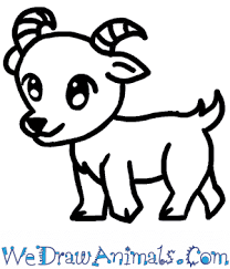 Band each of the rear legs with a short line, indicating the hooves. How To Draw A Baby Goat